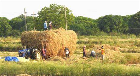 PUNJAB GOVERNMENT BEGINS PROCESS TO PROVIDE 25000 AGRICULTURAL MACHINES ON SUBSCRIBE TO FARMERS