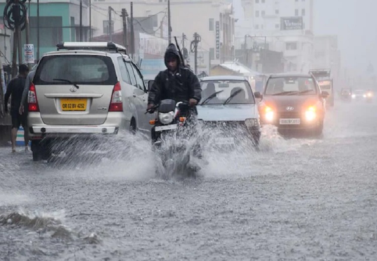 The meteorological department