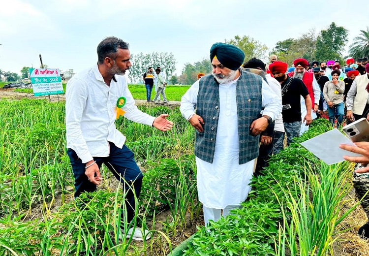 Chetan Singh Jauramajra