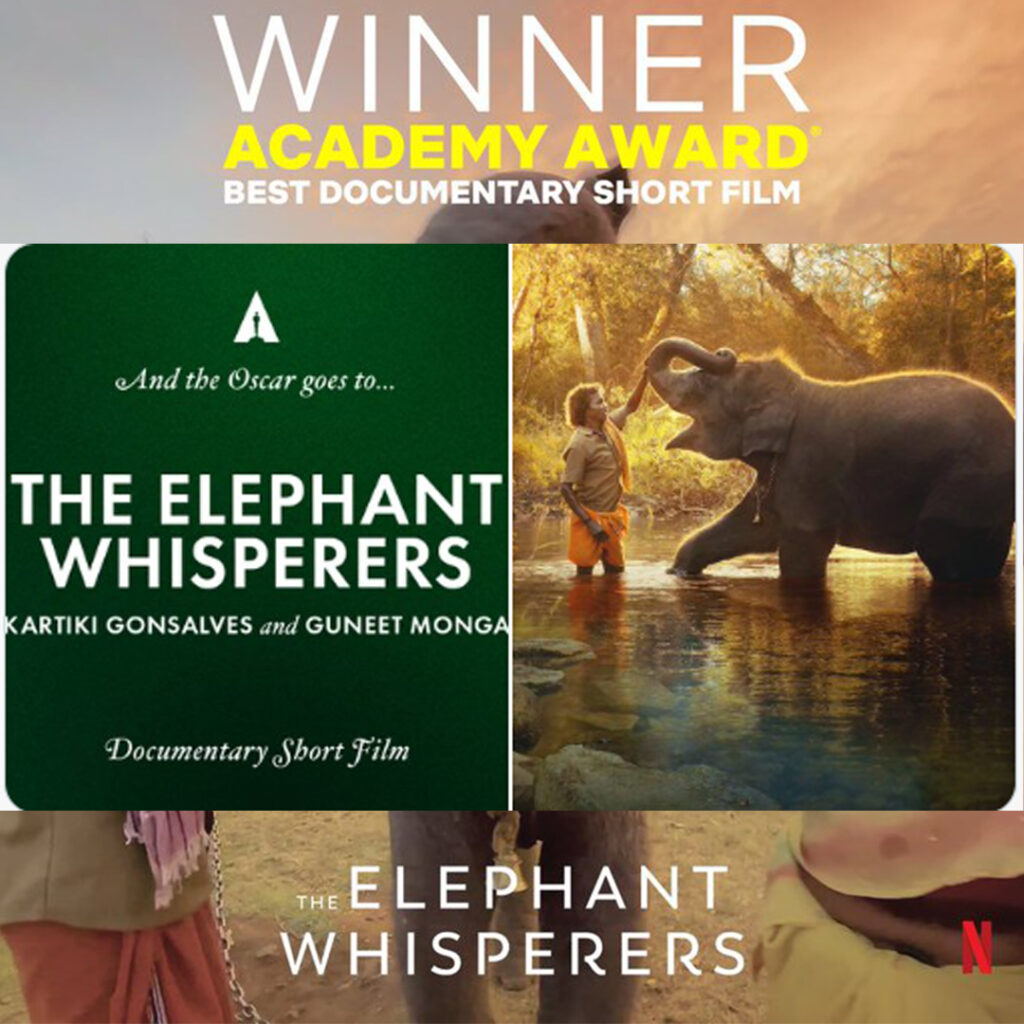 'The Elephant Whisperers