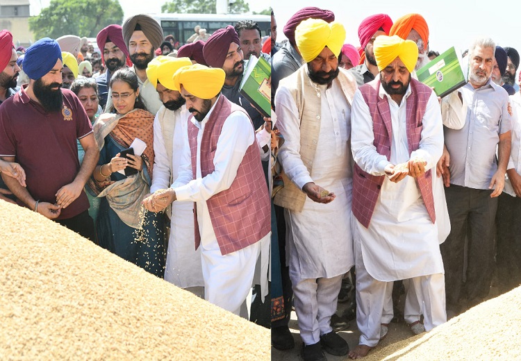 ਝੋਨੇ