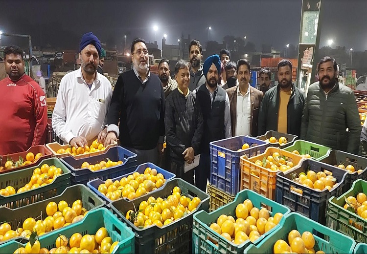 Abohar Orange mandi