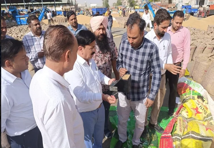 Abohar Grain market