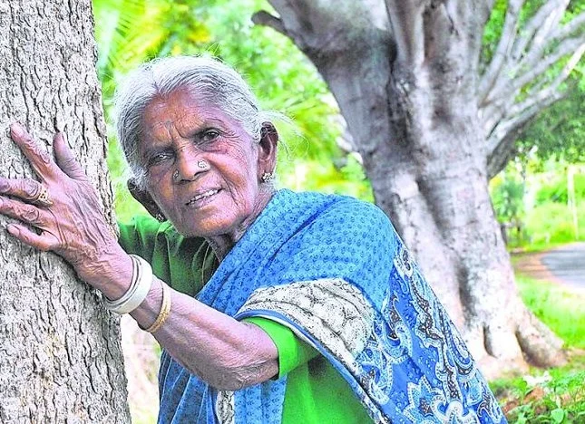 ਸਾਲੂਮਰਾਦਾ