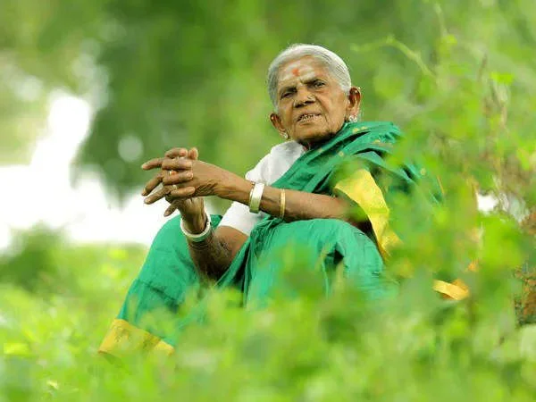 Salumaarda Thimakka