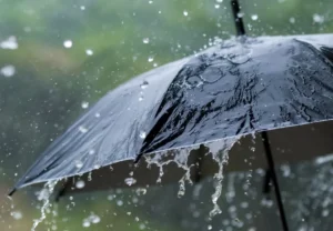 Punjab Weather Today