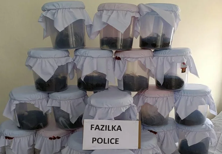 Fazilka police