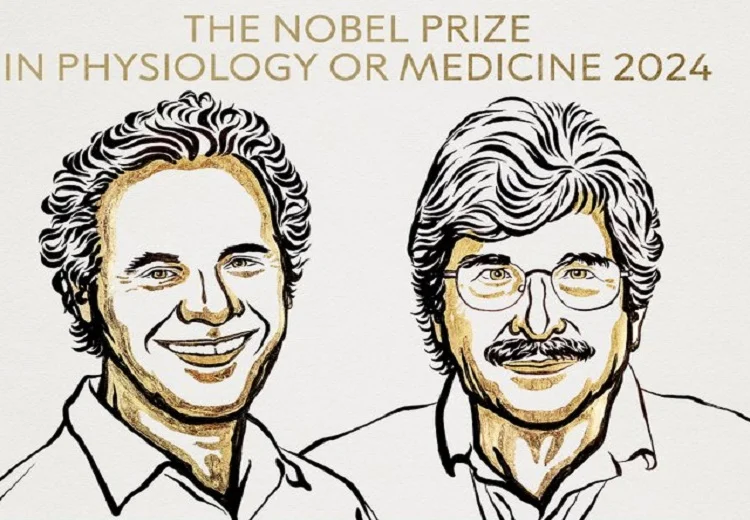 Nobel Prizes