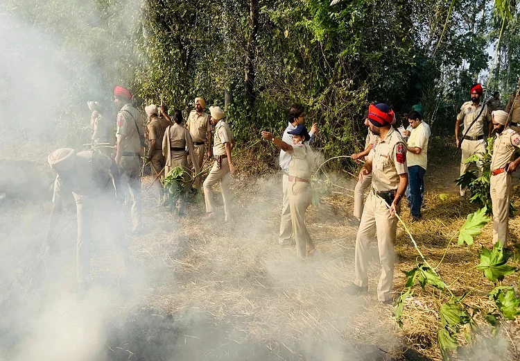 Stubble Burning