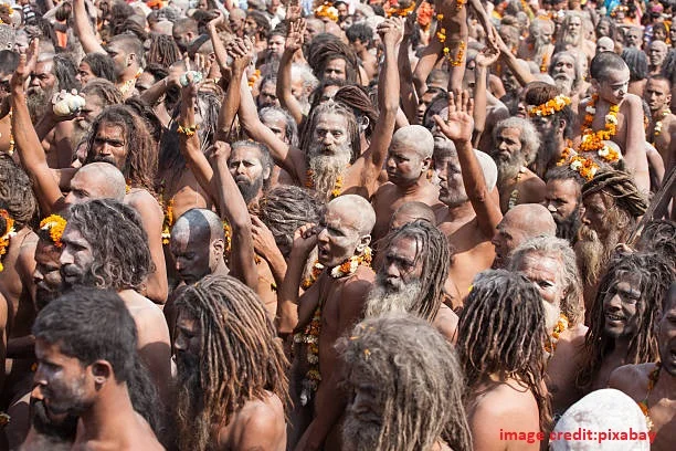 Naga sadhu akhada