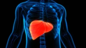 fatty liver