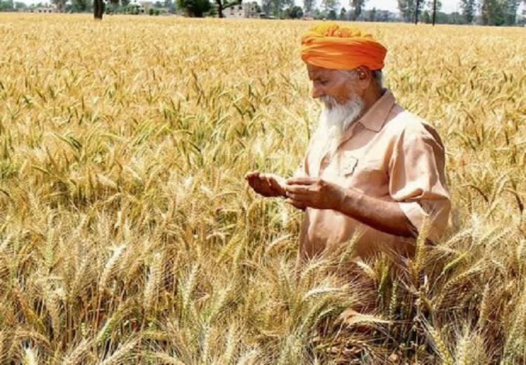 Agricultural Infrastructure Punjab