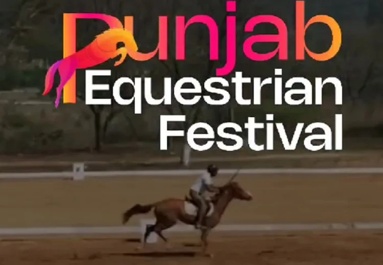 Horse Riding Festival