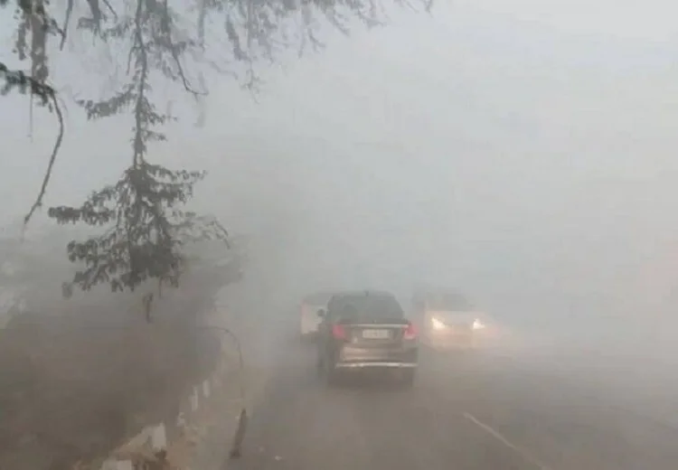 Punjab Weather Update