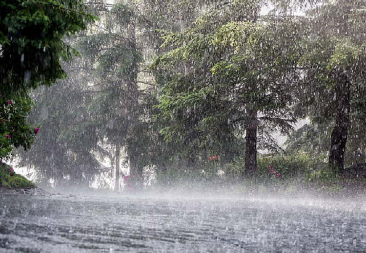 Punjab Weather