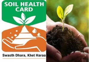 Soil Health Cards
