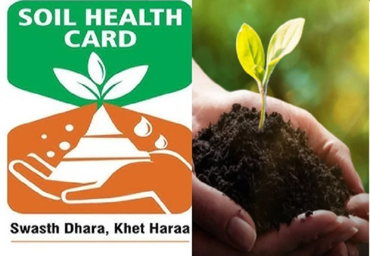 Soil Health Cards