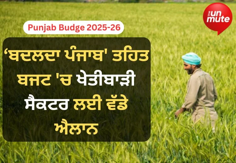 Punjab Budget