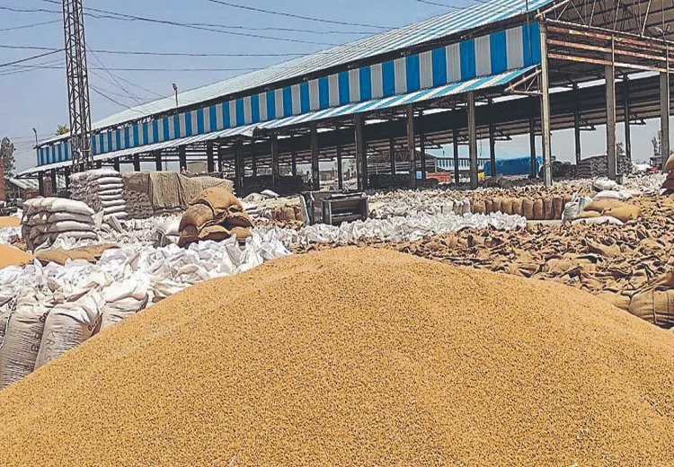 Kharif procurement season