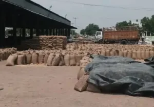 ਜਗਰਾਉਂ