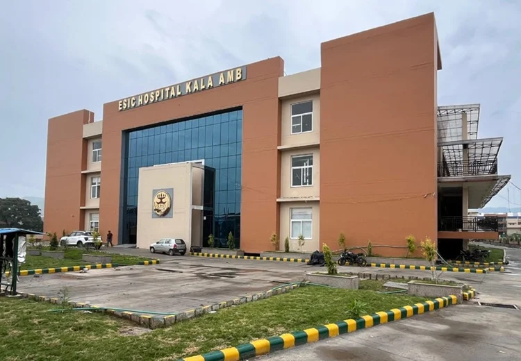 ਕਾਲਾ ਅੰਬ