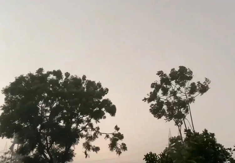 ਮਾਨਸੂਨ 2025