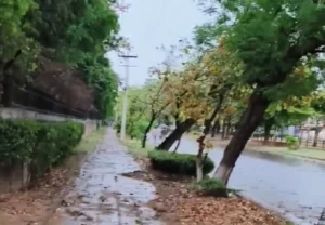 ਮੀਂਹ