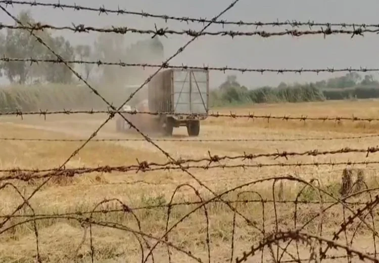 ਸਰਹੱਦ 'ਤੇ ਖੇਤੀ