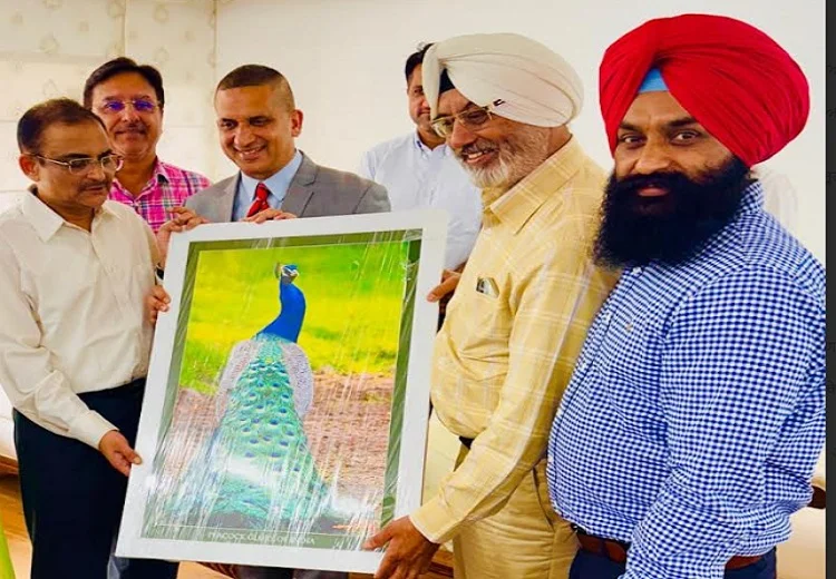 ਮੁੱਖ ਸੂਚਨਾ ਕਮਿਸ਼ਨਰ