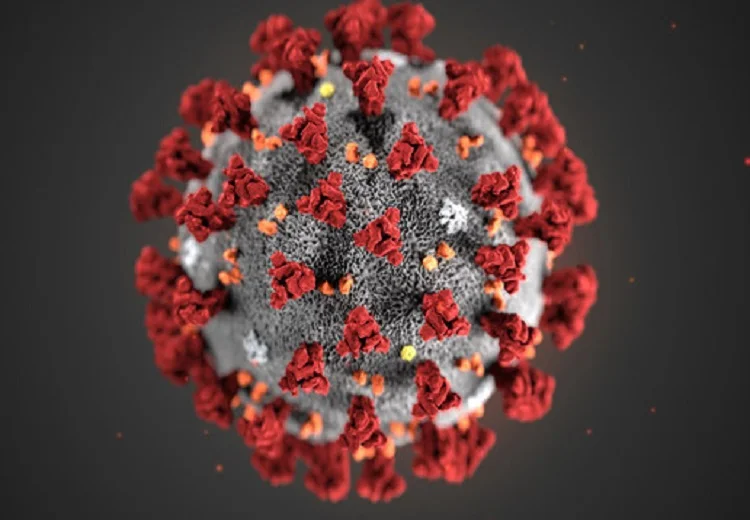 Corona virus