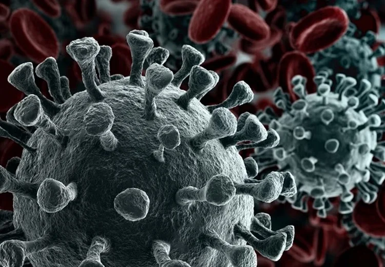 ਕੋਰੋਨਾ ਵਾਇਰਸ