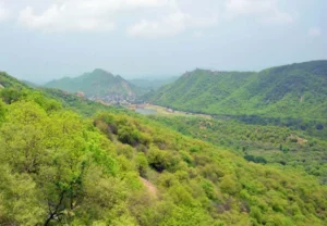 Aravalli Green Wall Project