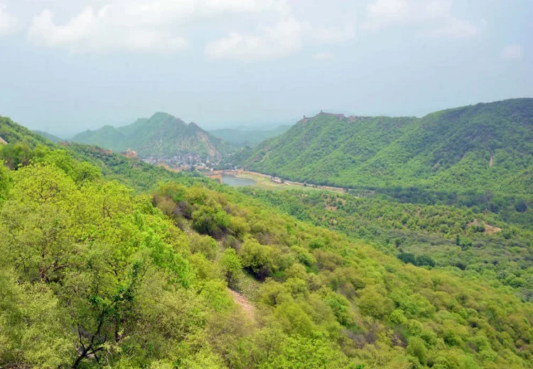 Aravalli Green Wall Project