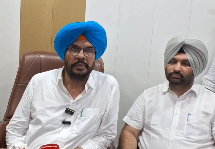 ਕੁਲਦੀਪ ਸਿੰਘ ਧਾਲੀਵਾਲ