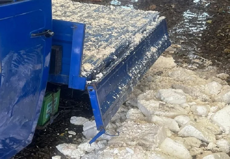 ਨਕਲੀ ਪਨੀਰ