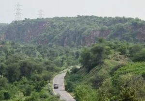 Aravalli hills