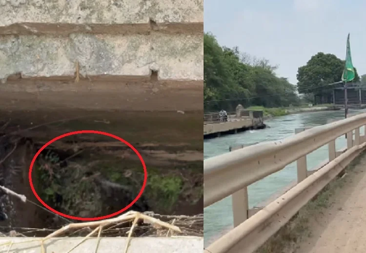 ਭਾਖੜਾ ਨਹਿਰ