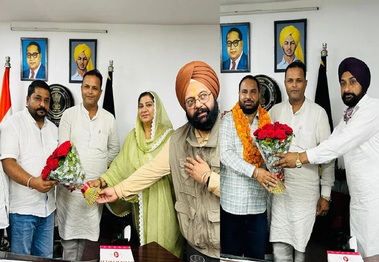 ਬੈਕਫਿੰਕੋ