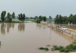 ਹੜ੍ਹ