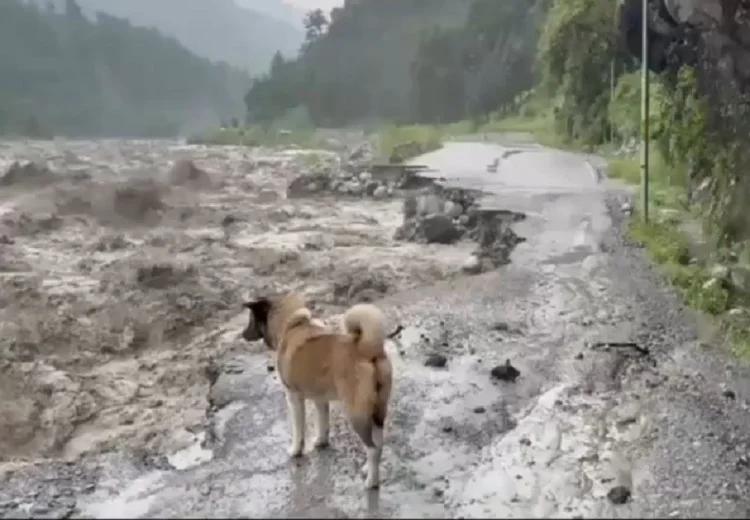 Himachal Pradesh Weather
