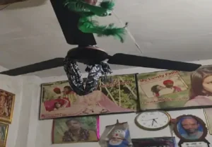 ਲੁਧਿਆਣਾ