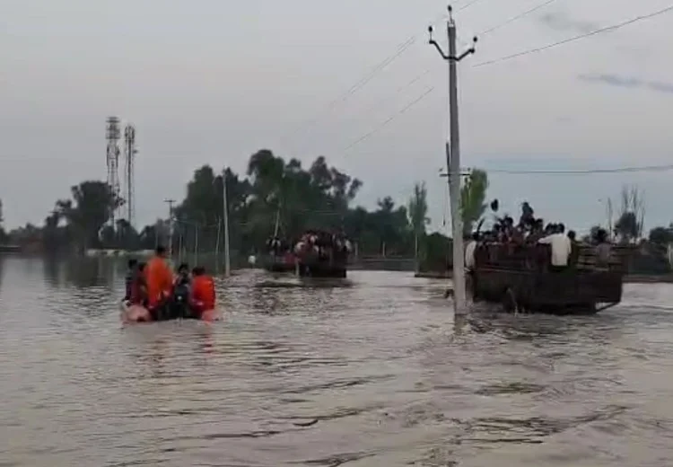 Punjab Flood news