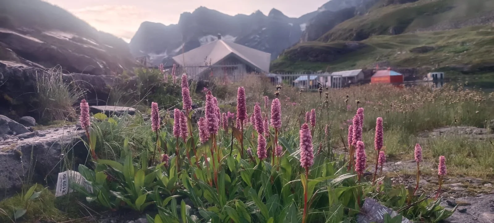 ਸ੍ਰੀ ਹੇਮਕੁੰਟ ਸਾਹਿਬ