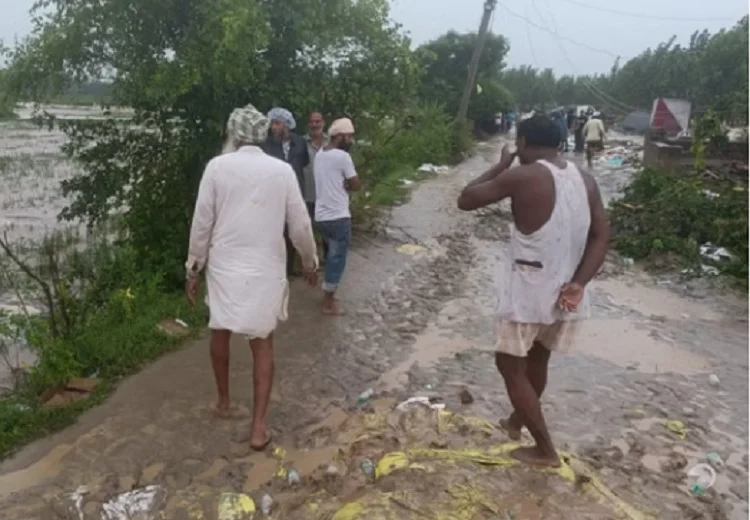 ਧੁੱਸੀ ਬੰਨ੍ਹ