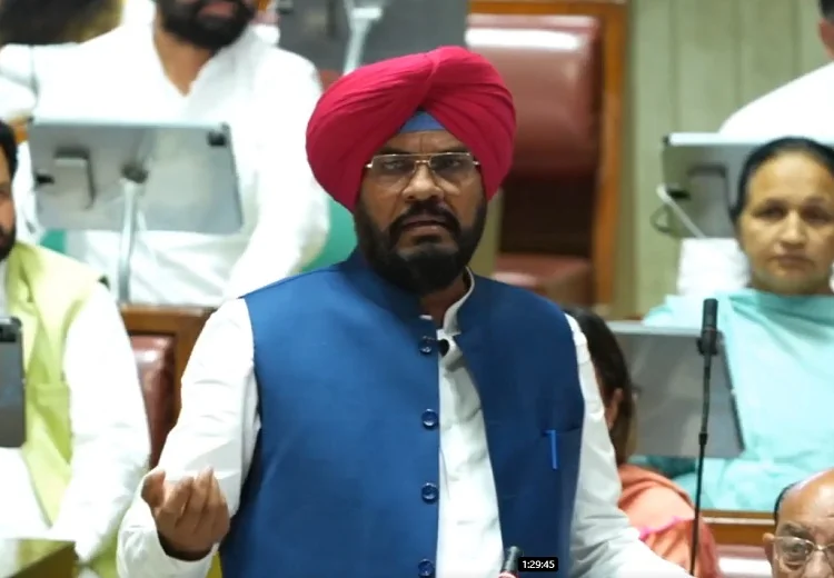 ਕੁਲਦੀਪ ਸਿੰਘ ਧਾਲੀਵਾਲ