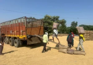 ਝੋਨੇ ਦੇ ਖਰੀਦ