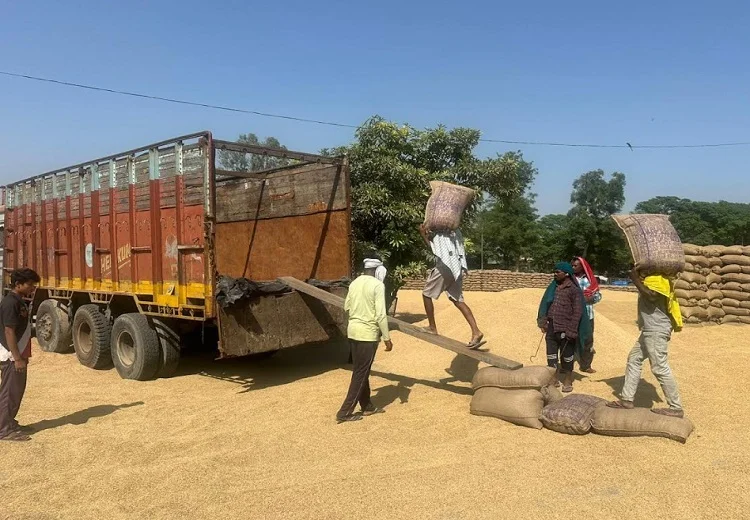 ਝੋਨੇ ਦੇ ਖਰੀਦ