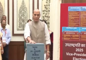 Vice President election