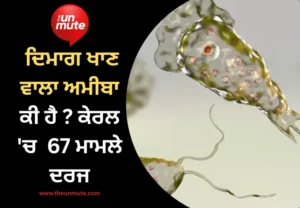 ਦਿਮਾਗ ਖਾਣ ਵਾਲਾ ਅਮੀਬਾ
