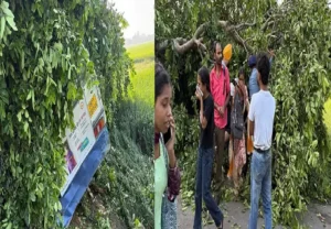 PRTC bus accident